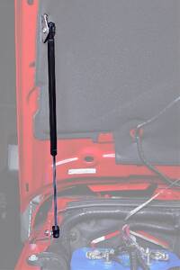 Hood Lift Support
