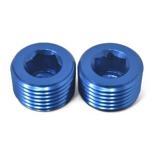 Pipe Plug