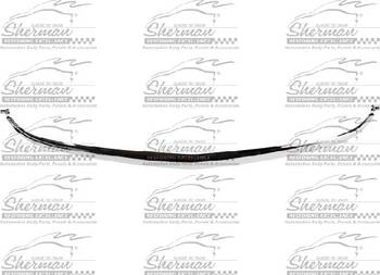 Bumper Guard