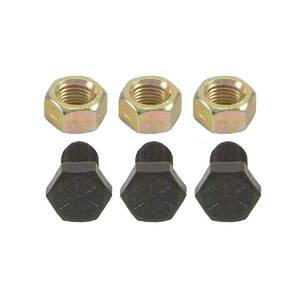 Automatic Transmission Torque Converter Bolt
