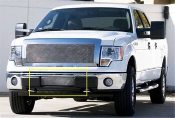 Bumper Grille Insert