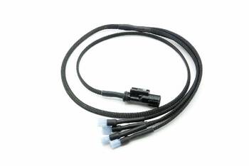 Horn Wiring Harness