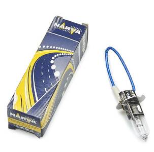Driving Light Bulb