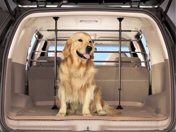 Dog Guard